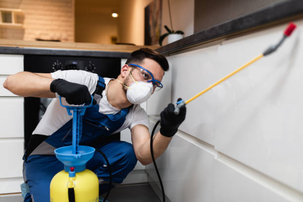 Best Local Pest Control Services  in Mayfield, PA