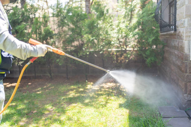 Best Pest Control for Homes  in Mayfield, PA