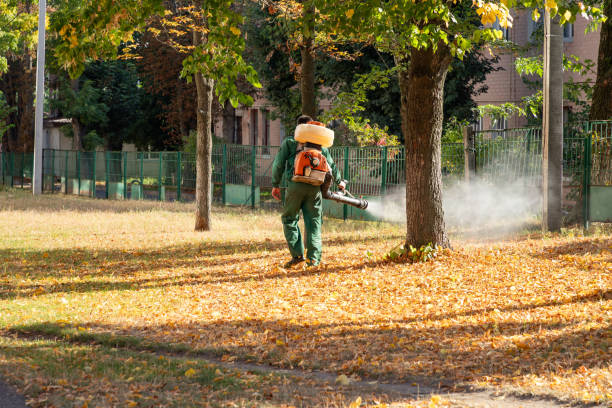 Trusted Mayfield, PA Pest Control Experts