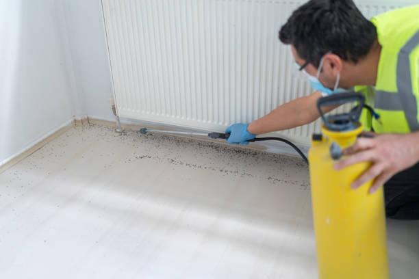 Best Affordable Pest Control Services  in Mayfield, PA
