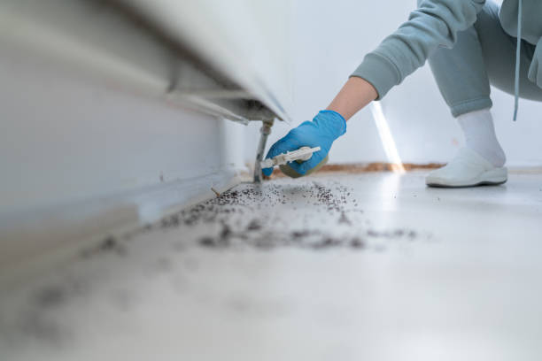 Best Cockroach Control Services  in Mayfield, PA