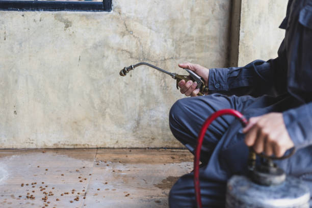 Best Best Pest Control Companies  in Mayfield, PA